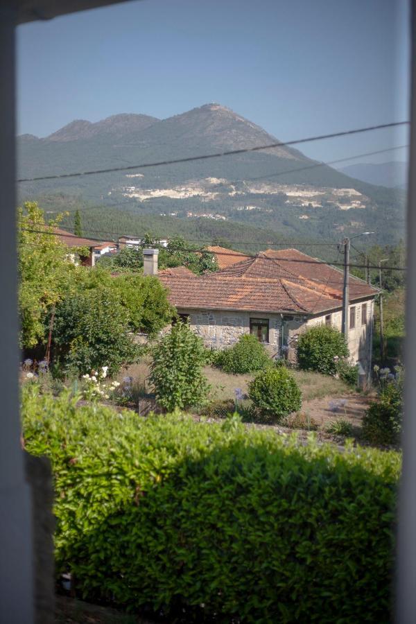 Гостьовий будинок Casa Romeu Canedo de Basto Екстер'єр фото